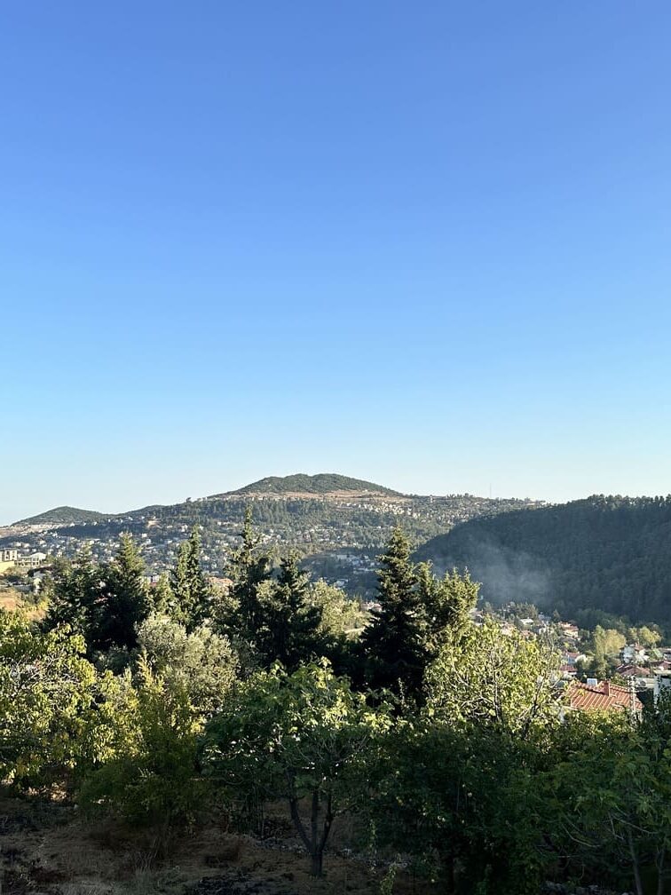 gean-mersin-toroslar-lotus44