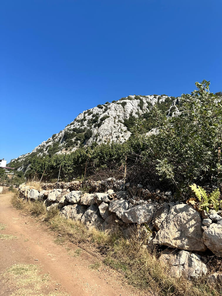 gean-mersin-toroslar-lotus52