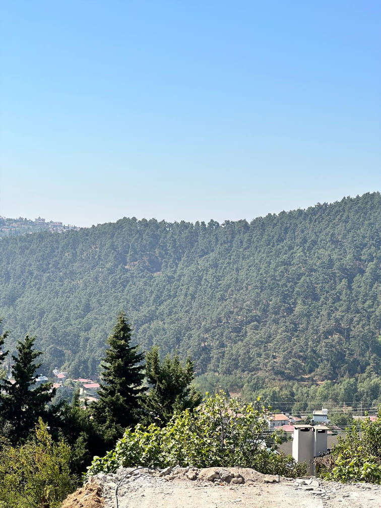 gean-mersin-toroslar-lotus54