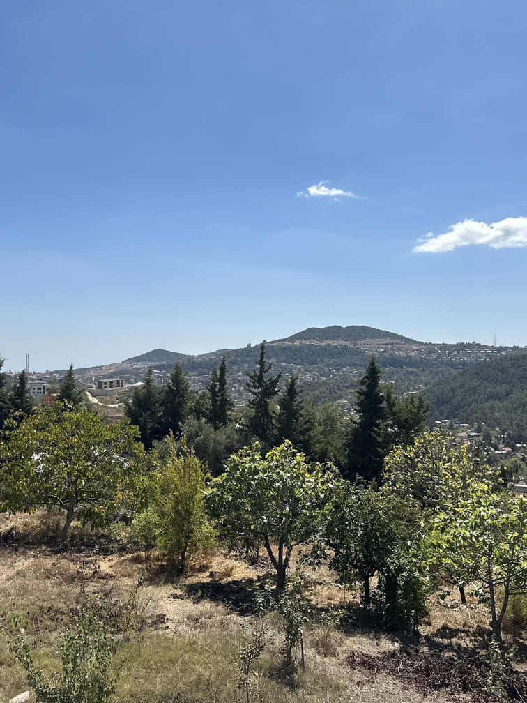 gean-mersin-toroslar-lotus65